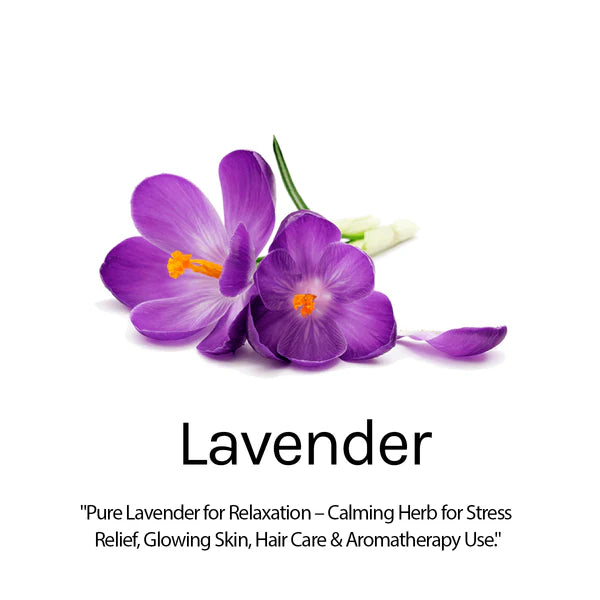 AROMA CARE LAVENDER SOAP 100GM