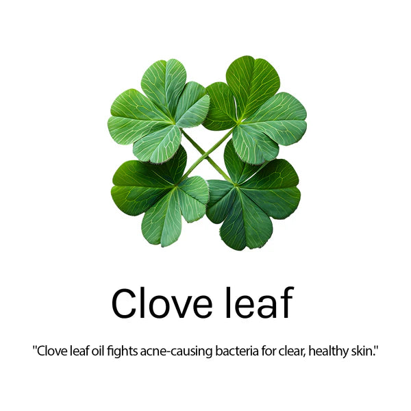 AROMA CARE GOOD BYE PIMPLE CREAM 15GM