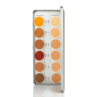STARS FOUNDATION COLOUR PALETTE 12 SHADES FP-24