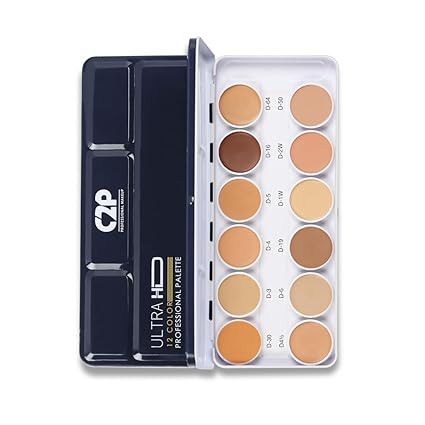 C2P DERMA BASE PALETTE - METAL