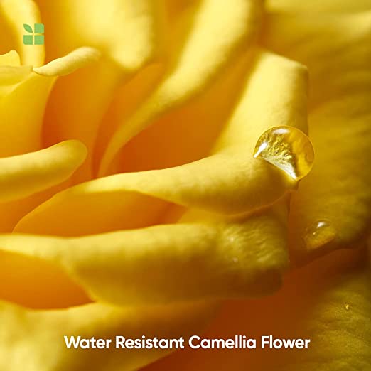 Matrix Smoothing Conditioner 196GM