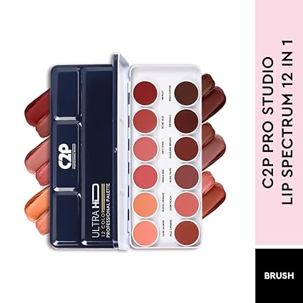 C2P LIPSTICK PALETTE METAL (12 SHADES)
