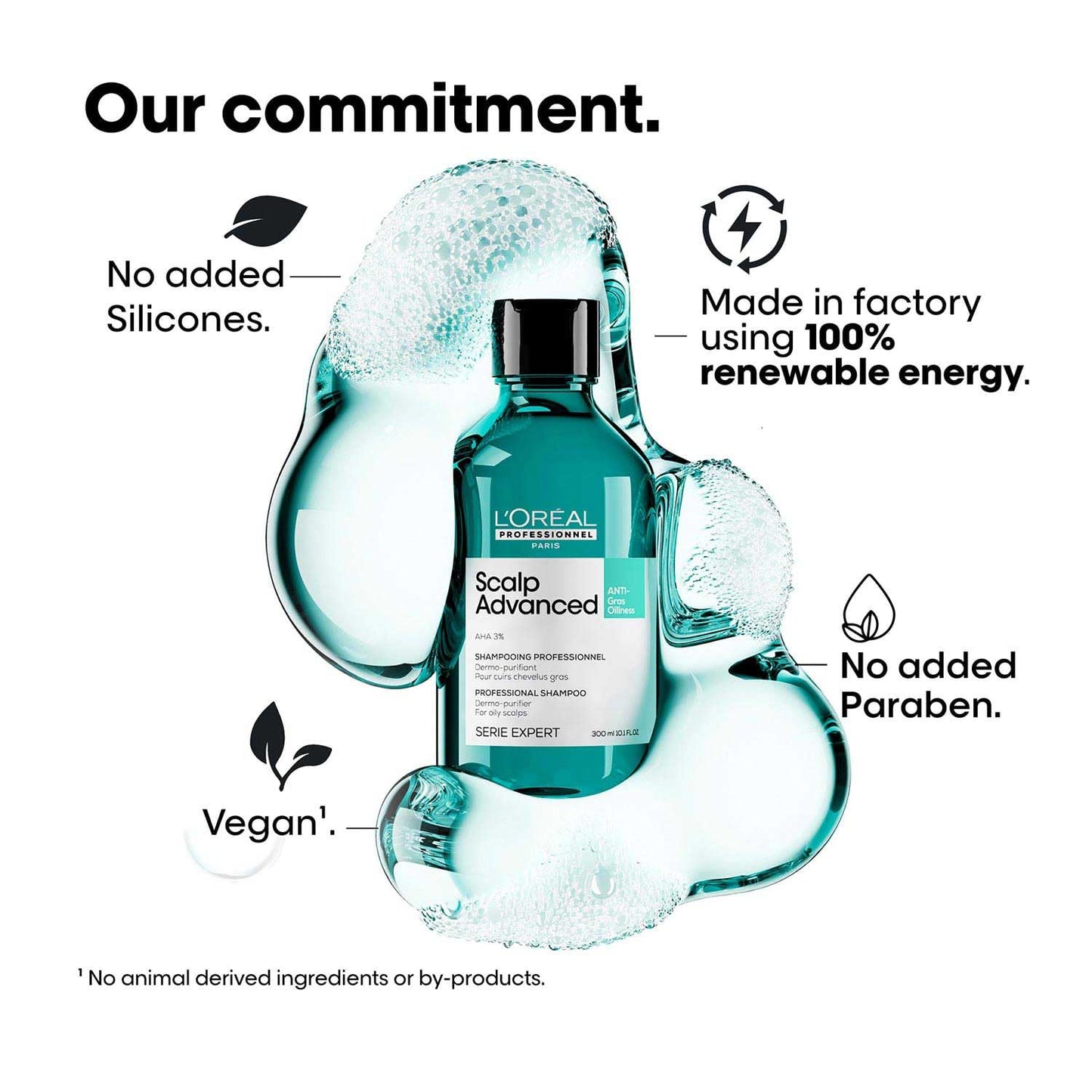 L'Oreal SE SCALP A-OILY SHAMP 300ML